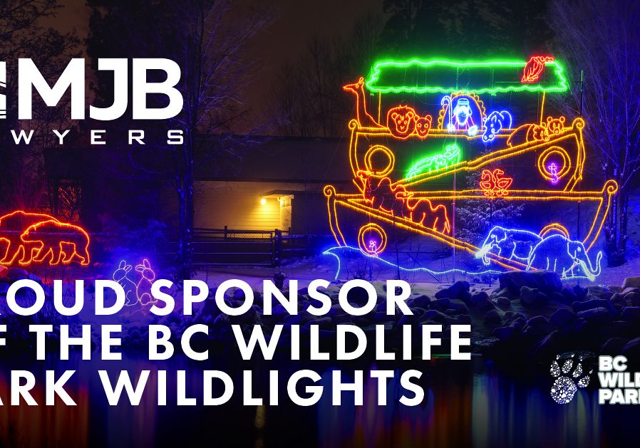 Wildlights at BC Wildlife Park